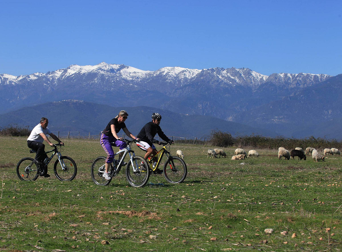 Pinia, découvrir la nature à VTT