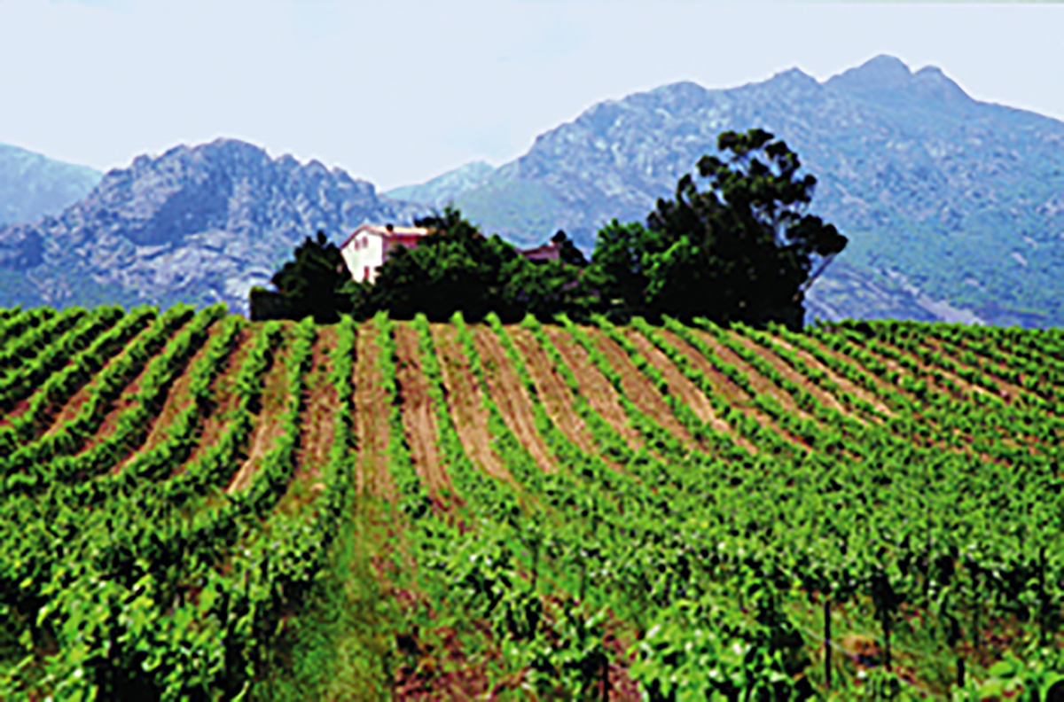 Domaine de la Figarella