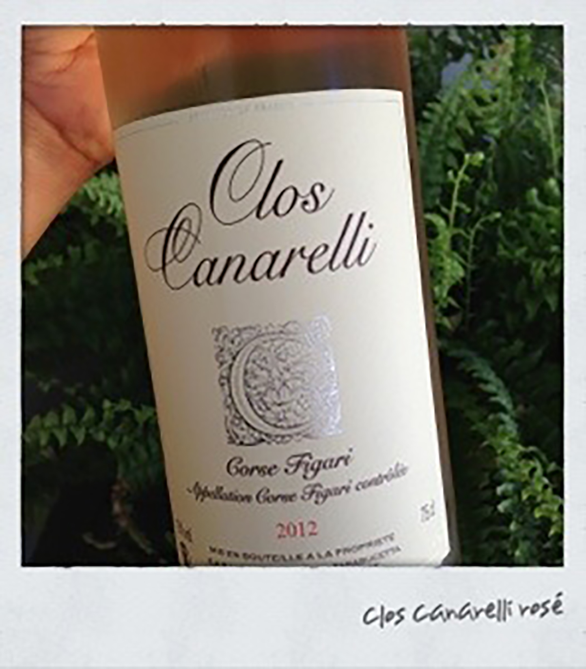 Domaine Canarelli