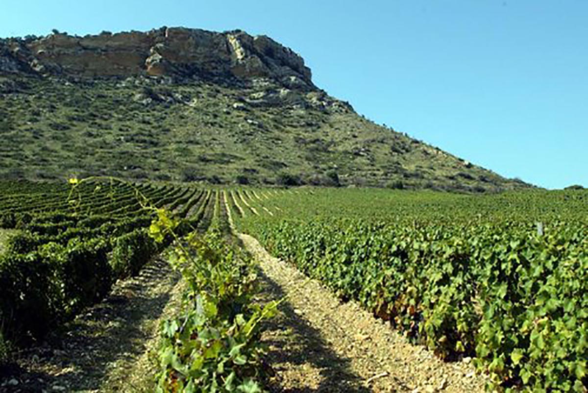 Domaine Pastricciola