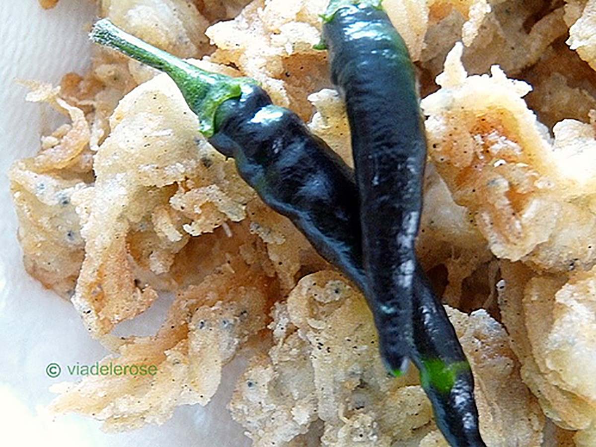 Recette de beignets de Bianchetti