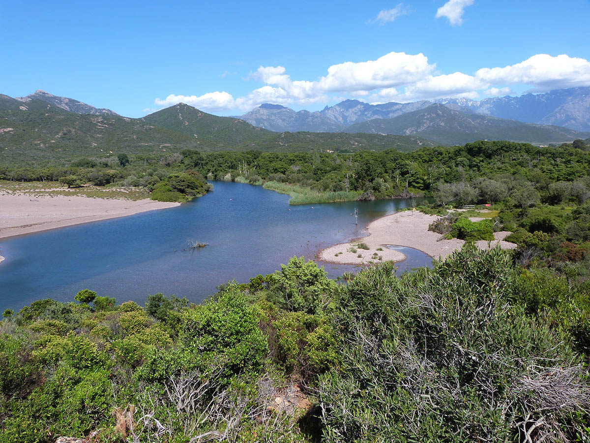 Canoë-kayak dans le delta du Fangu