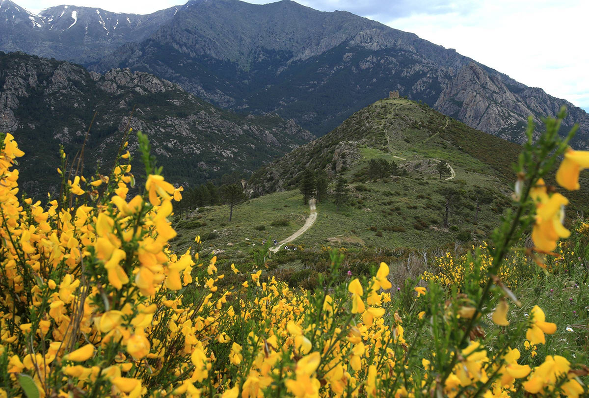 Vers le fortin de Pasciolu