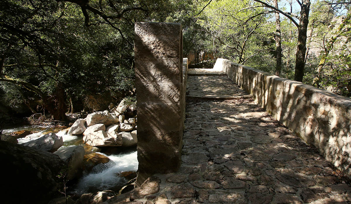 Le sentier des trois forêts de Brocéliande
