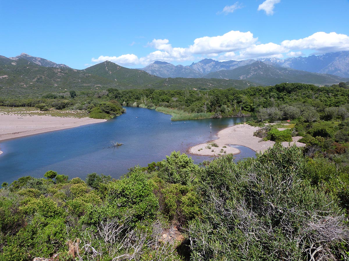 Canoë kayak dans le delta du Fangu