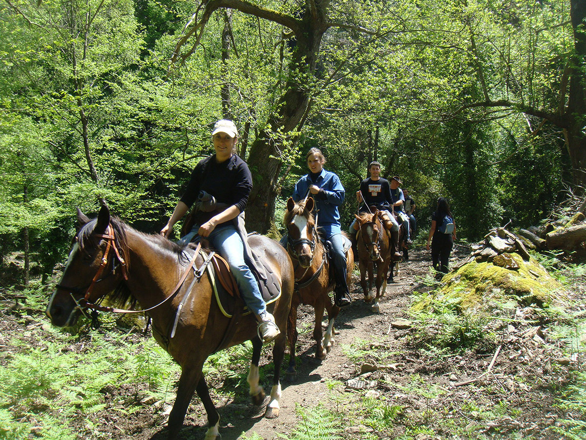 Promenade authentique à Fiuminale