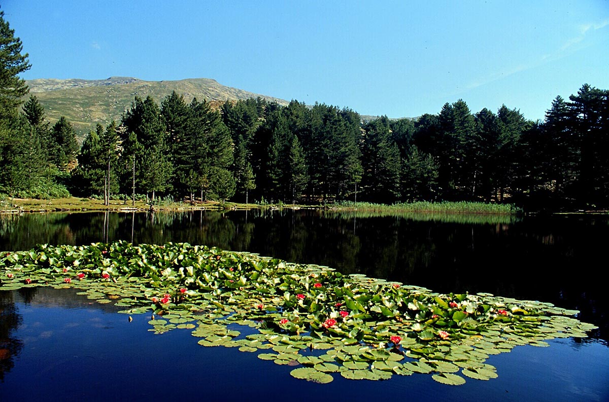Centre Corse simplement authentique