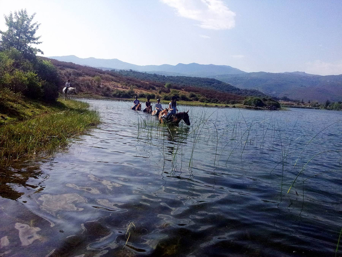 Le cheval, tourisme nature