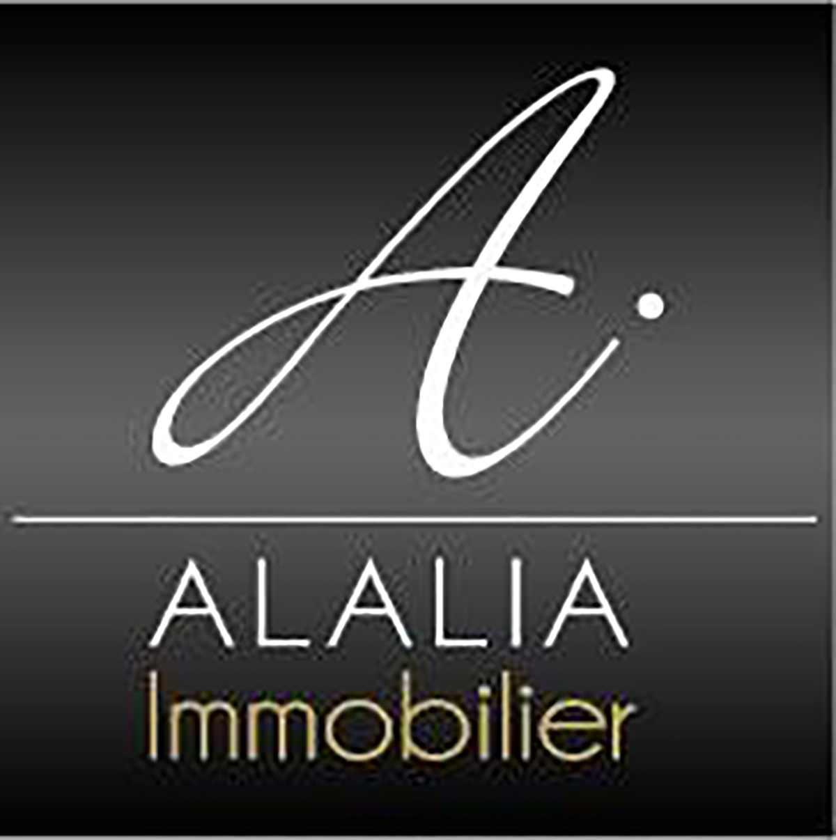Agence Alalia Immobilier