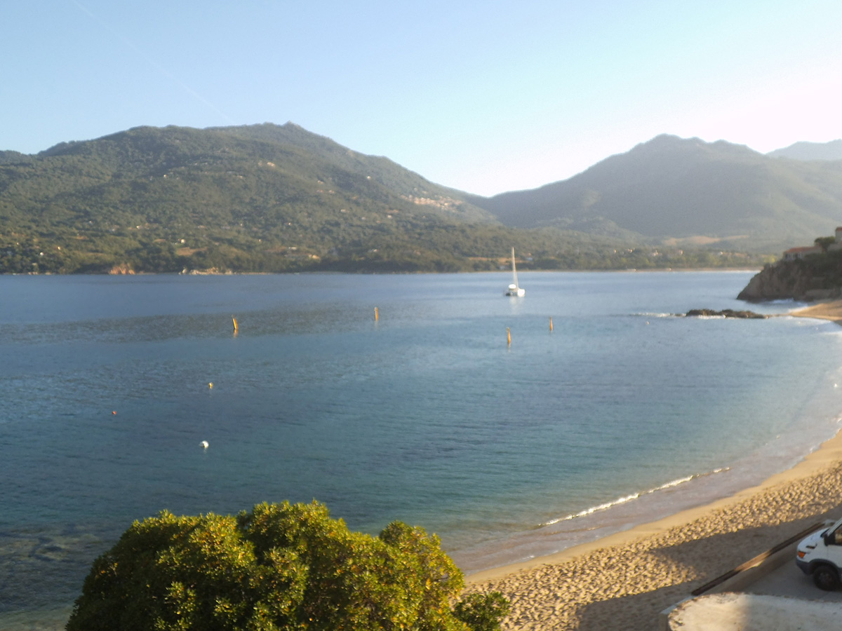 Terra Nova Immobilier