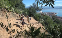 Le chemin des Crêtes