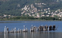 Réserve naturelle de l’étang de Biguglia