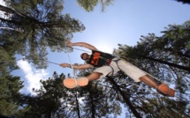 Sensations fortes en accrobranche