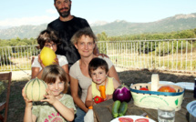 Domaine agricole de Valle