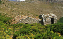 A la découverte des nivere de Cardo