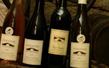 Domaine Fiumicicoli