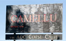 Domaine U Camellu