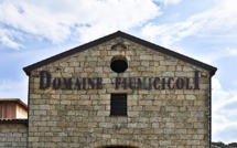 Domaine Fiumicicoli