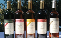 Domaine de Pietri