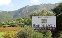 Domaine Leccia