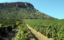 Domaine Pastricciola