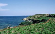 Cave Stéphanie Olmeta