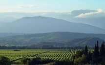 Cave Coopérative d'Aghione