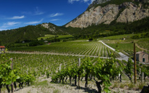 Cave Coopérative de la Marana