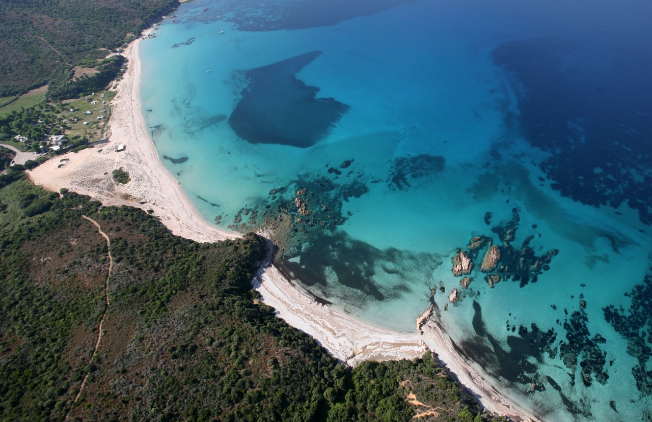 GALERIE_CUPABIA GALERIE_CUPABIA