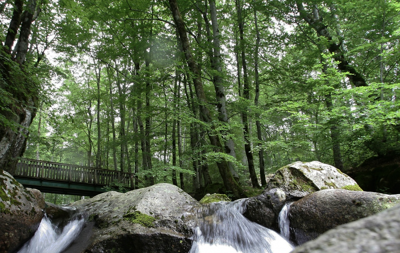 GALERIE_VIZZAVONA GALERIE_VIZZAVONA