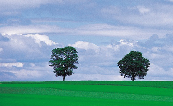 | POMPE À CHALEUR, À CHAQUE MAISON SA SOLUTION