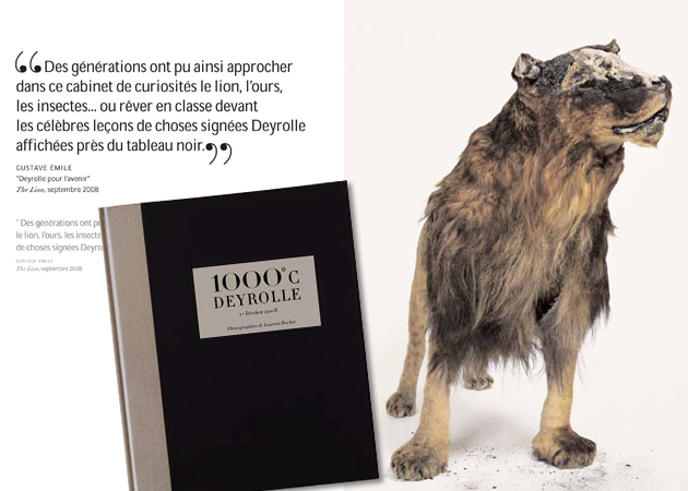 LE PHÉNIX DE LA RUE DU BAC