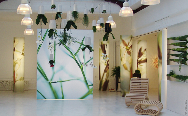 COMPAGNIE ET MOAROOM, LA CULTURE DESIGN