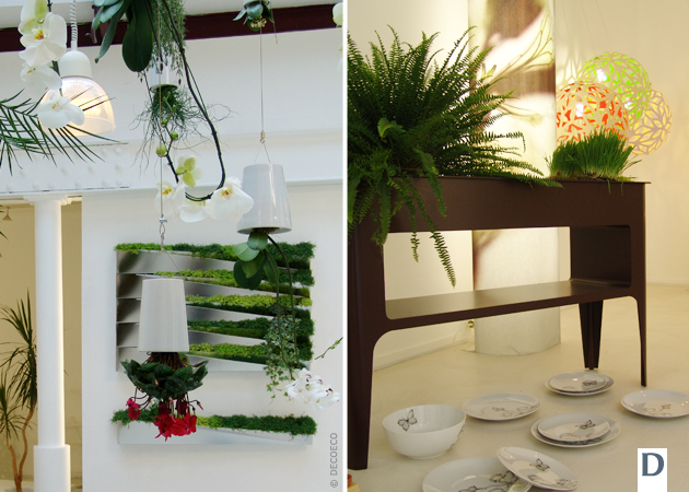 COMPAGNIE ET MOAROOM, LA CULTURE DESIGN