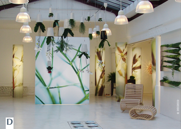 COMPAGNIE ET MOAROOM, LA CULTURE DESIGN