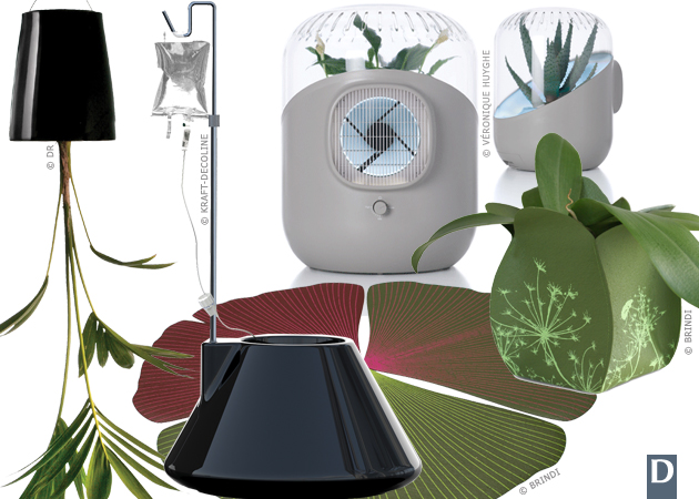 DECO ET DESIGN DANS LA HOTTE