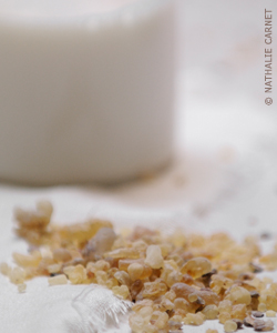 MICHELE GAY, L’EMPIRE DES SENS 