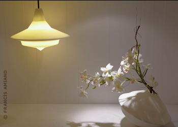 NOCC, CES MERVEILLEUX FOUS SAVANTS