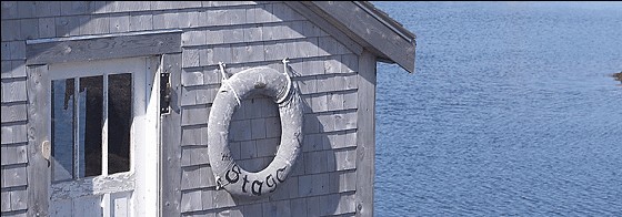 | ENVIRONNEMENT, IL EST TEMPS D’AGIR