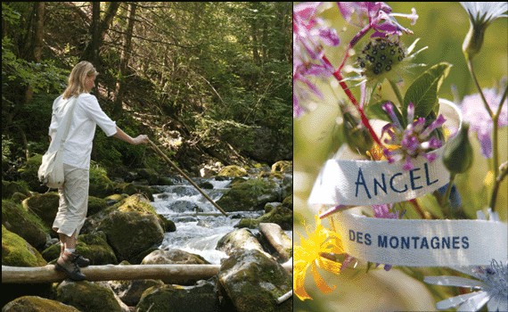 | ANGEL DES MONTAGNES, LA SYMBOLIQUE DES ALPES AU PRESENT