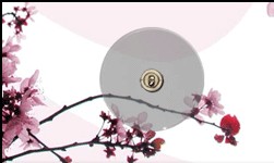 | ELEGANCE ET SOBRIETE AU SERVICE DE LA LUMIERE