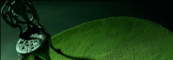 | L'ECOLOGIE ET L'ETHIQUE ENTRENT EN DECORATION