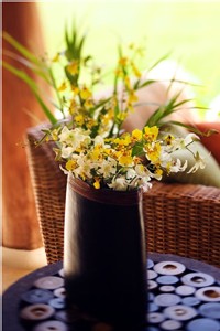 | PRENDRE SA DECORATION PAR LE BON BOUT