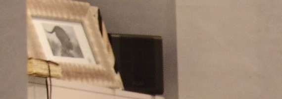 | EXOTIQUE ET CHIC, EXOTIQUE ETHIQUE, EXOTIQUE ET TOC