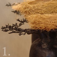 | EXOTIQUE ET CHIC, EXOTIQUE ETHIQUE, EXOTIQUE ET TOC