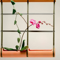 | LE DESIGN A LA MAIN VERTE