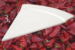 | ATYPYK… RÉSOLUMENT !