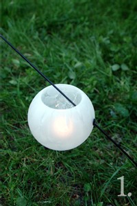 | CÉLINE WRIGHT, NATURE CRÉATIVE