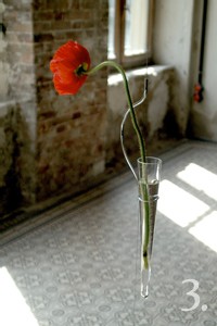 | CÉLINE WRIGHT, NATURE CRÉATIVE