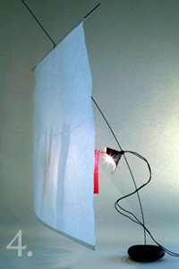 | CÉLINE WRIGHT, NATURE CRÉATIVE